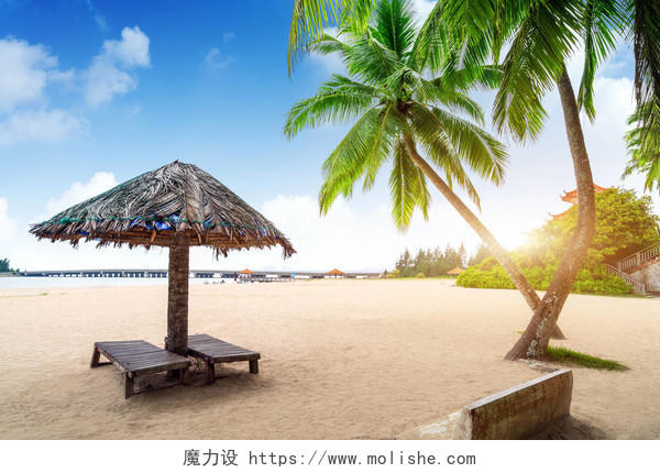 中国海南岛夏季海滩海南旅游